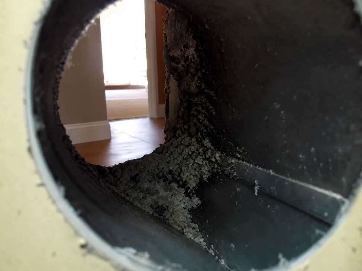 Air Duct Mold Removal in Blue Springs, MO